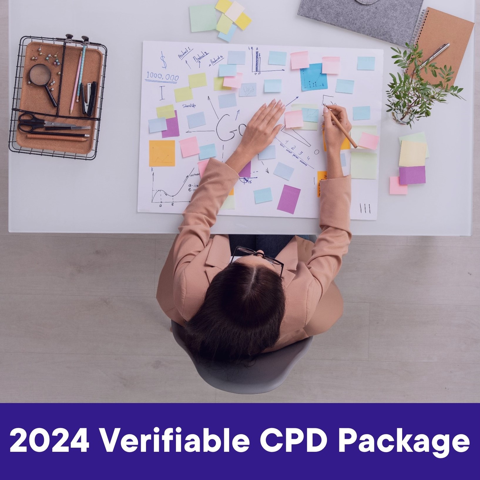 2024 Verifiable CPD Package 1